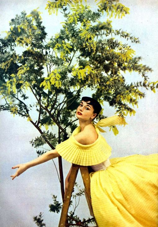 Audrey fotografata da Richard Avedon con un abito da ballo giallo