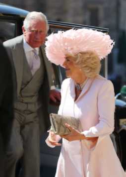Camilla, in rosa fenicottero. A me piace, come sempre! Ph.Gareth Fuller - WPA Pool/Getty Images
